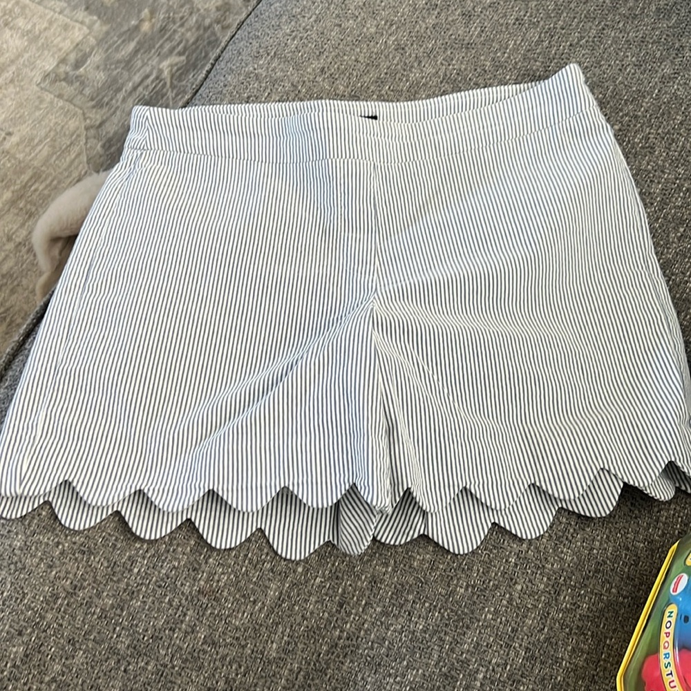 Pinstripe, scalloped short